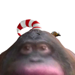 @DogeMan2334