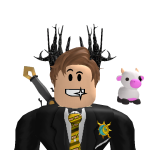 @Bas1cDev