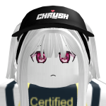 @nicelollerfake