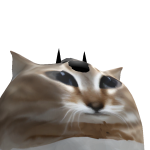 @DaDedDude