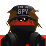 @thehackerkillerss