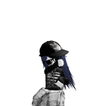 @indhixul