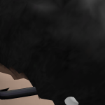 @Dragonpro552pt