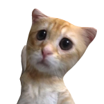 @swaggyclouds