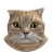 dijedijejdiifdeifji