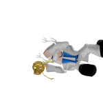 @Jacksonraymond0423