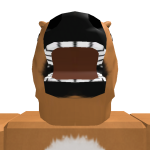 @doopz09