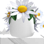 @uvzur