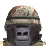 @LieutenantxDoge