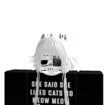 @roblox_user_3384763848