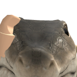 @Puppylikesadoptme3