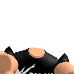 @Mr_SkibidiNinja