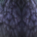 @MasterplazRoblox1