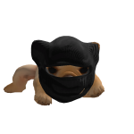@XxpixelwarxX