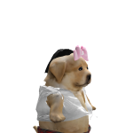 hehehehe