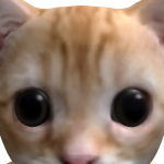 @nerfrazorjr