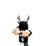 @24_wf