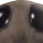 @Thecoolshark_123