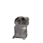 @dookick