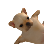 @SOULBL99D