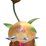 @chikkity_chicken