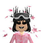 @roblox_user_2052908288