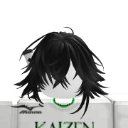txstifyonroblox
