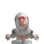 @aqnvtna
