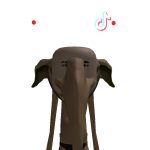 @marshawn1113