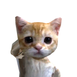 @moonbuddyz