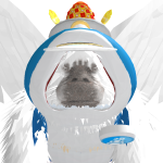 @tehcoolfool