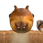 @zelfg