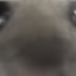 @Elqueen1234