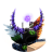 VarieZI