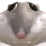 @lazerbeam2123454