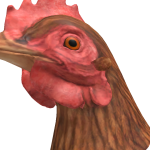 @Ducky3Mineplays