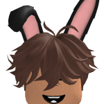 @VE5XI