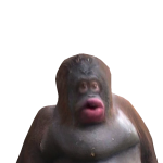 @iisaraxx3