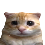 @Netsu_07
