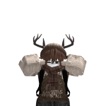 @rewiwx938472