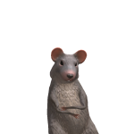@pickl1es