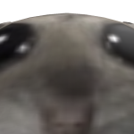 @0000sdfgk