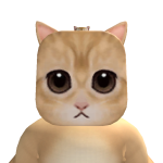 @robloxceopro