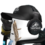 jytak2012 - 크리에이터 | 로블독