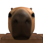 @Ryan37533