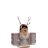 lucidruna