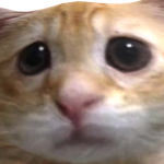 @CryingatiosTT