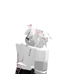 @chrxokkd