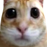 @mineralskpump