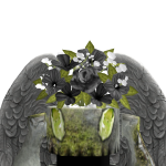 Mishael465031's avatar